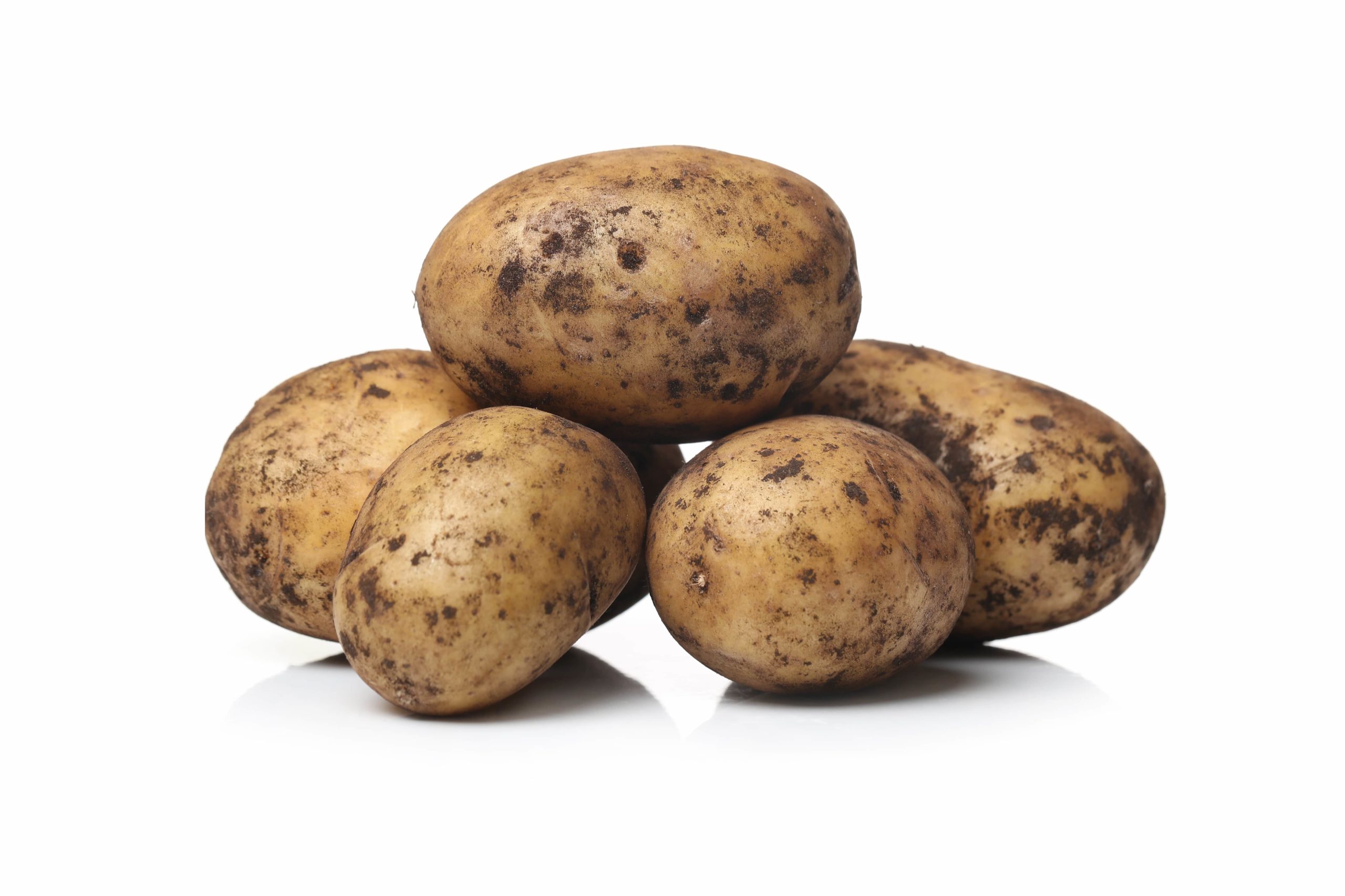 Сорта картофеля для Орловской области названия, фото, описание